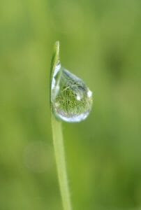 Earth Day 2017! How Event Professionals Make a Difference