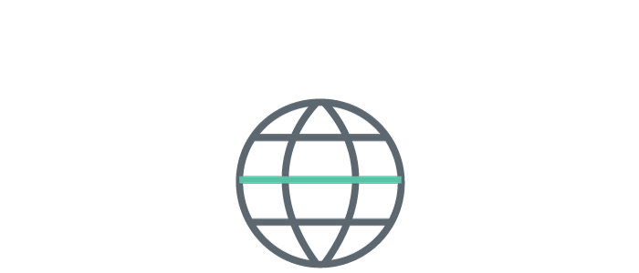 a globe icon