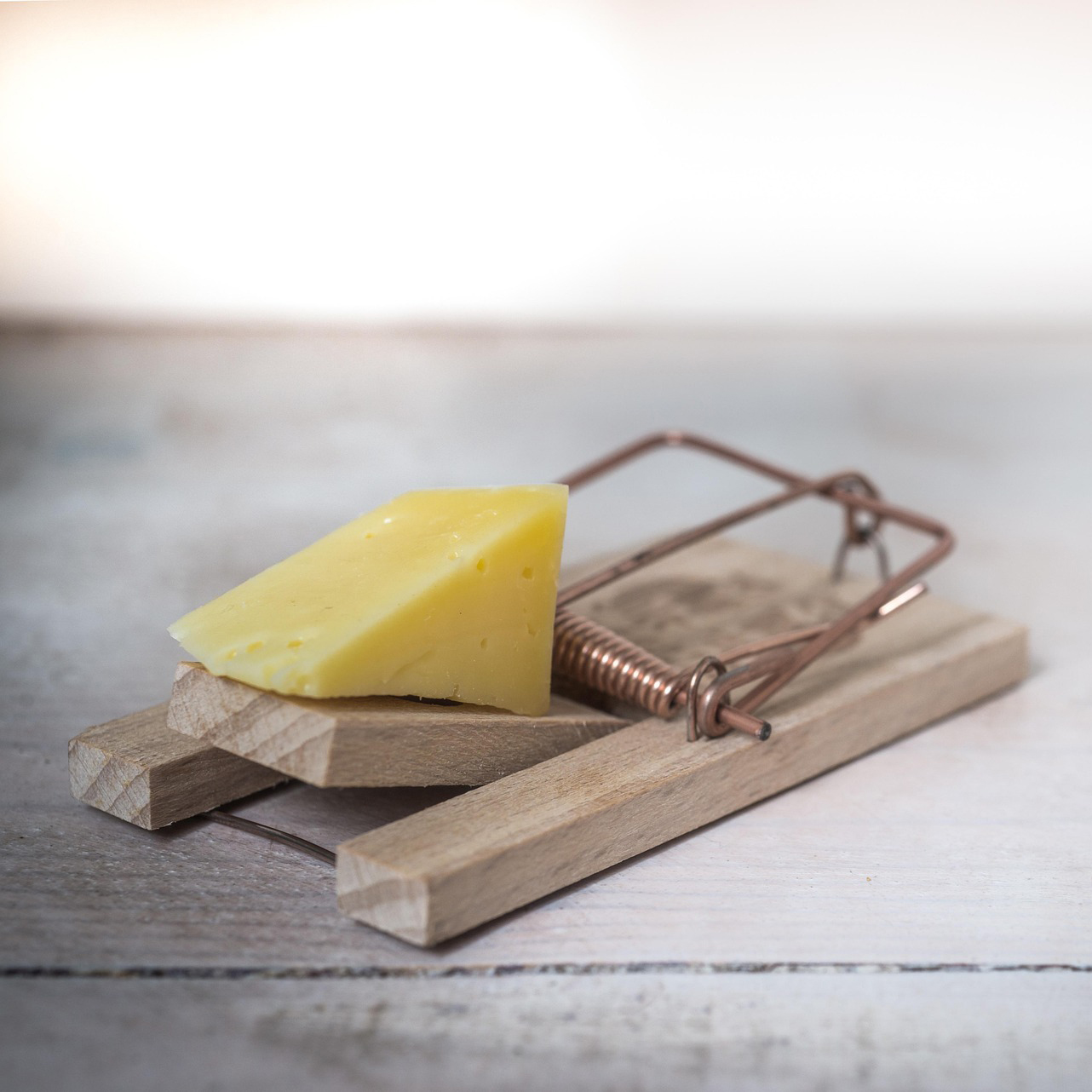 The Hidden Costs of DIY Lead Capture